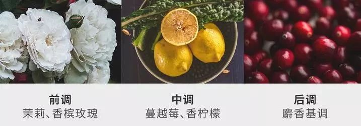 有车族必备！超高颜值能用一辈子的车载香氛，让你车内好闻10倍｜大咖荐品