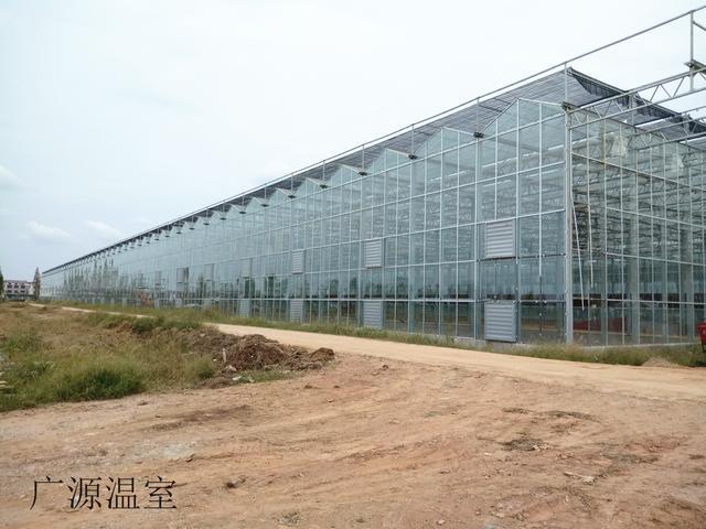 设施农业种植为什么要发展规模化?规模化优点有哪些?如何普及