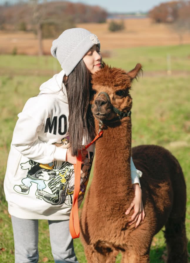 欧阳娜娜晒出和草泥马户外照片,只穿一条秋裤