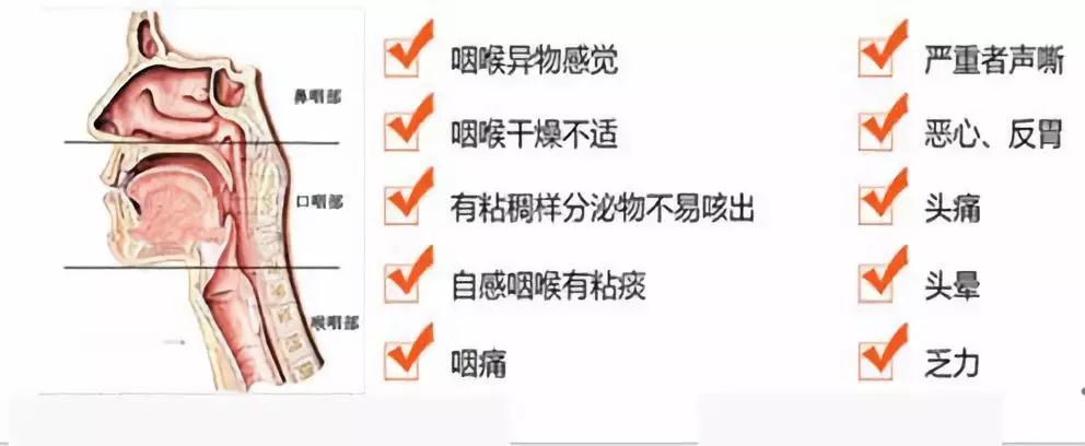 5,咽炎患者会经常感到咽部不适,还会因咽痒引起阵阵刺激性咳嗽,影响