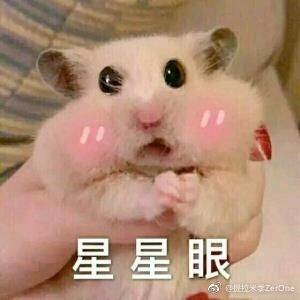 卖萌犯规！玉兔二号化身搞笑灵魂画家