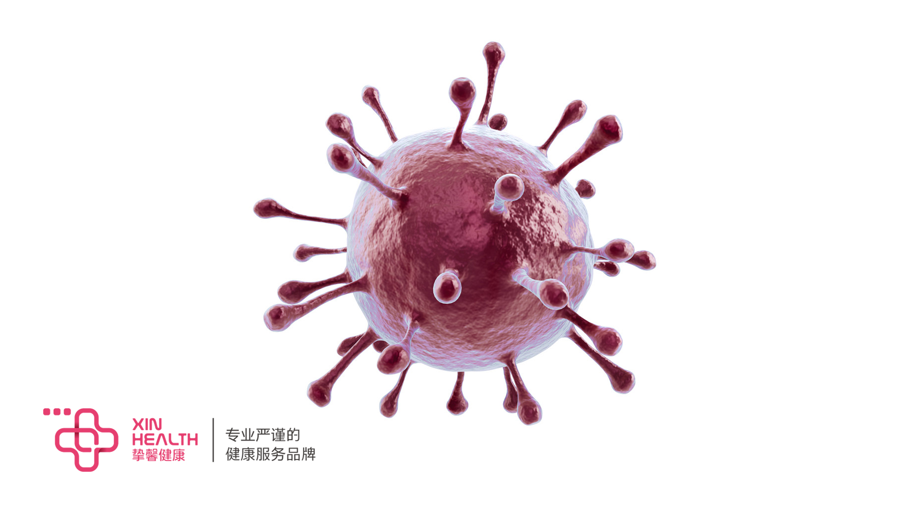 hiv病毒模型