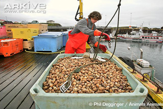 ddd0b67cee3a4ea4b9ede8f894ef5d52.jpg ddd0b67cee3a4ea4b9ede8f894ef5d52.jpg