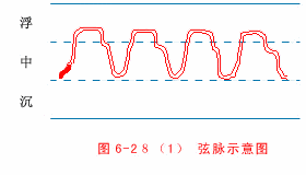 中医“把脉”的原理是什么?小学生都看懂了!