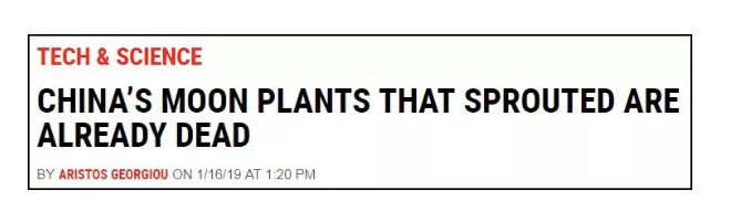 月球上第一株植物死亡悬疑