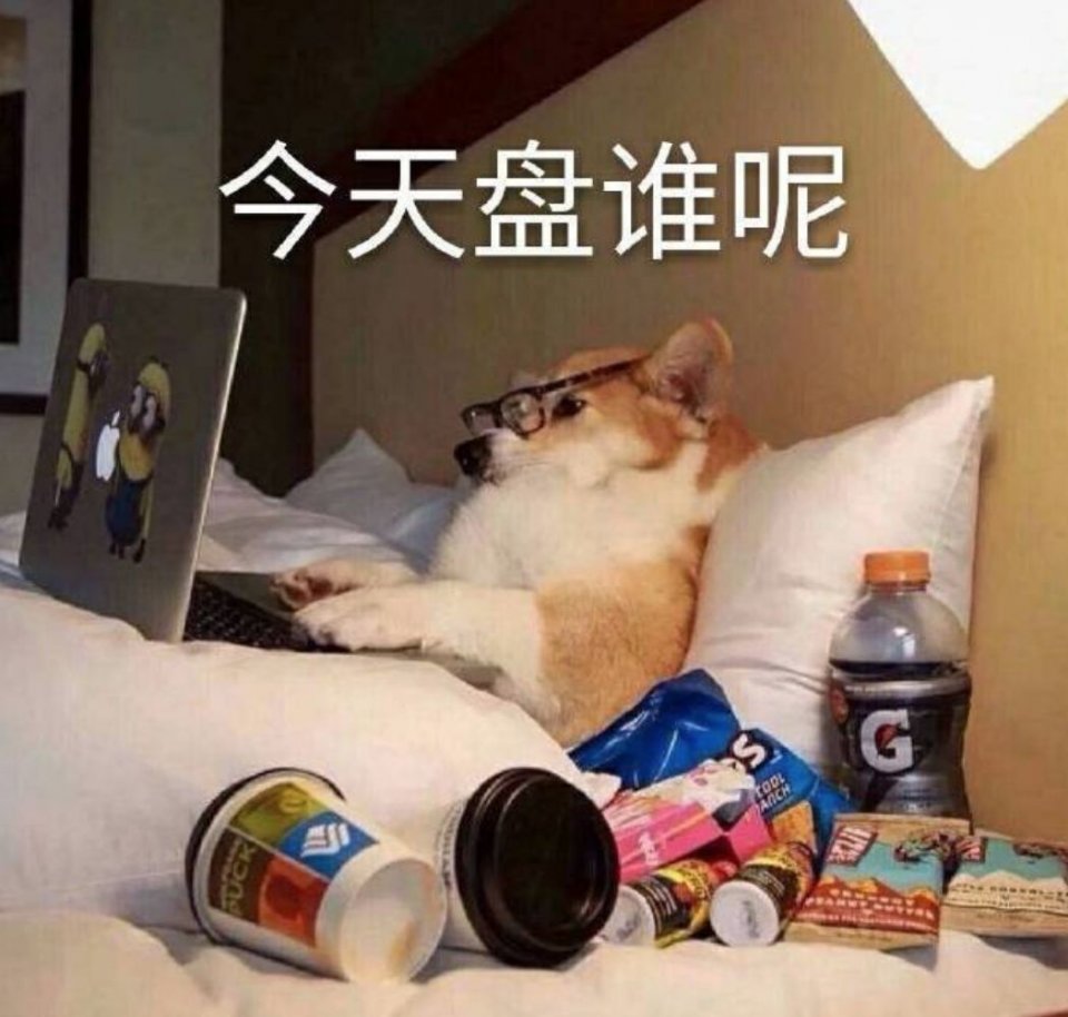 卖逆天长腿人设的网红现实中竟然长这样…
