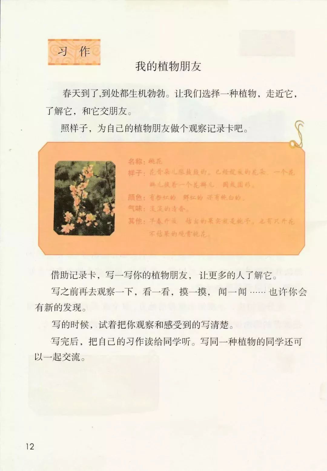 【电子课本】部编版小学三年级语文下册(1)__凤凰网