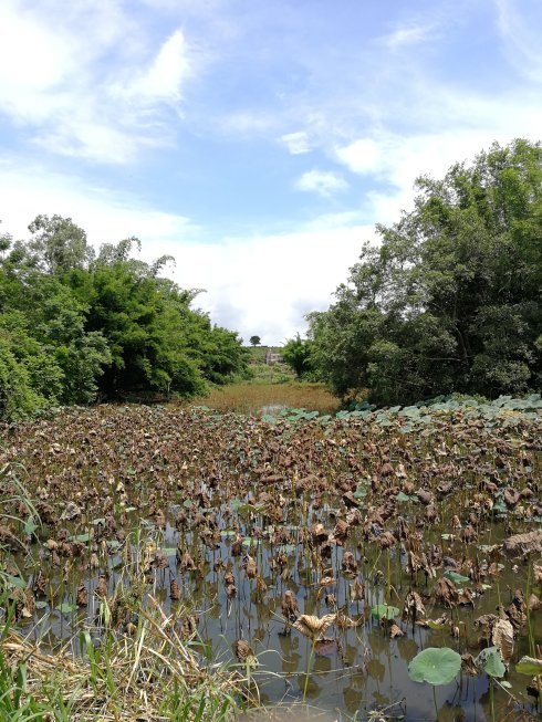 罗定市上宁村格木桥村梁氏始祖及发源地