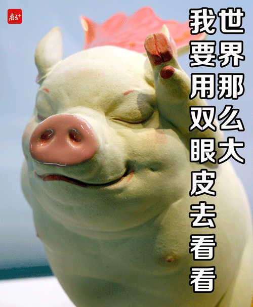 佛山人的猪年表情包来了!带上陶艺萌猪,震撼票圈