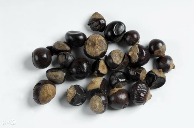果头领 果树育苗 种子催芽方法之层积催芽
