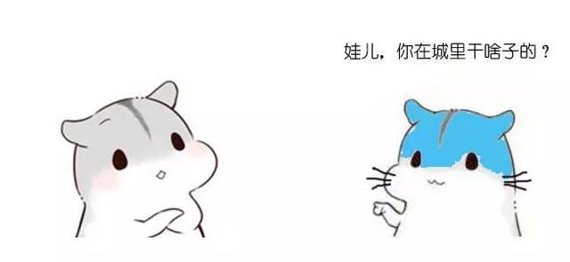 程序员如何避免被人误解职业?