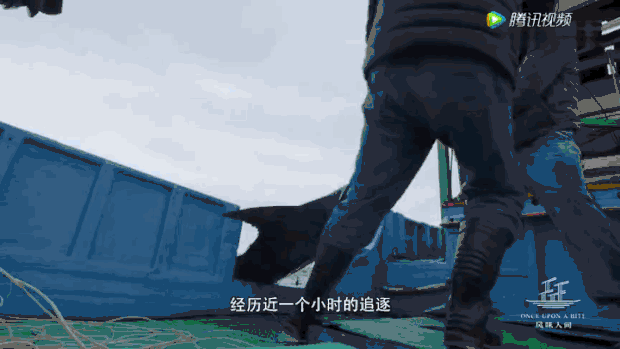 中国到底哪里的鱼丸最好吃?