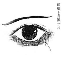 女人面相算命图解(一)