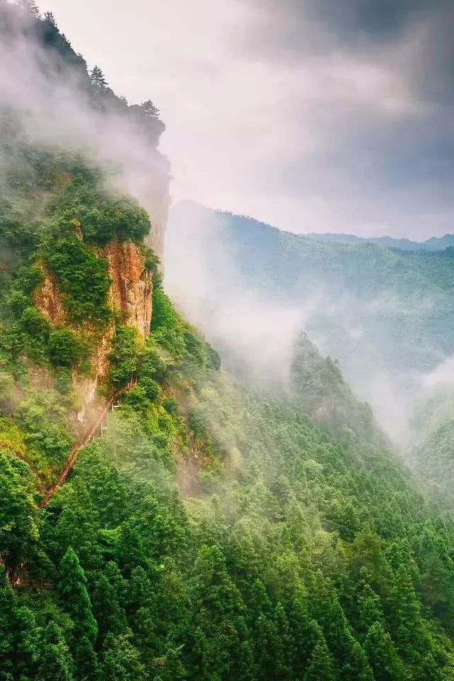 浙江排名前十的“好空气”旅游目的地，有你附近的吗？