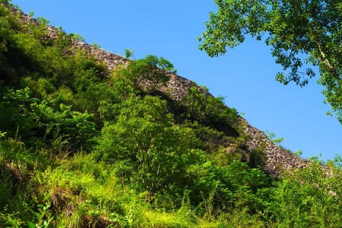 阳光使者 | 绿树村边合,青山郭外斜的小山村