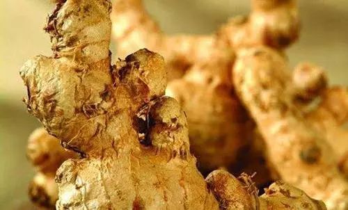 这个 6000 万人都在吃的食物,竟然是 1 级致癌物!