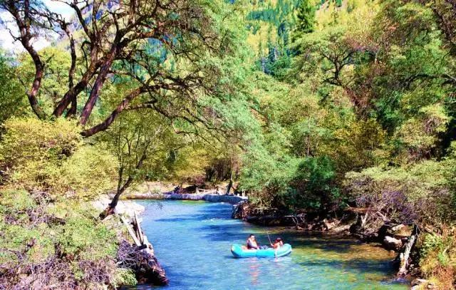 不用去瑞士,成都也要有山地火车了,直达四姑娘山!
