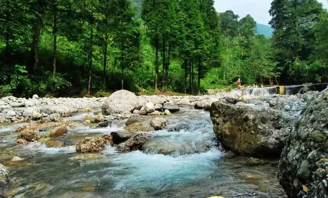 不用去瑞士,成都也要有山地火车了,直达四姑娘山!