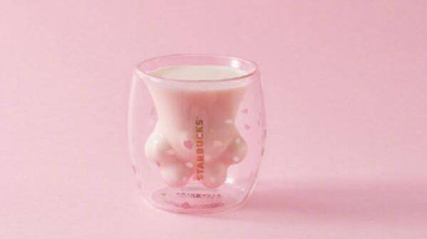 你买的猫爪杯可能又为星巴克设计师加薪了