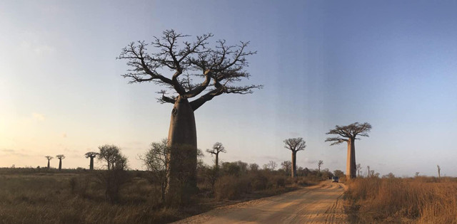 caa06a1da9384dd38471738df03647d7.jpg caa06a1da9384dd38471738df03647d7.jpg