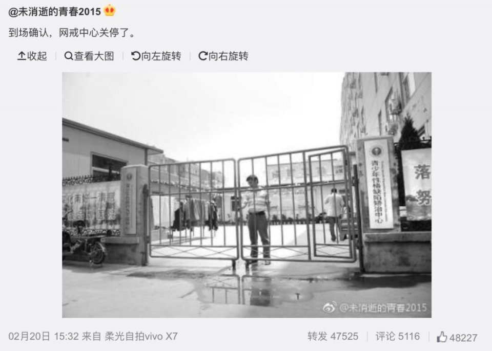 227个孩子被关进网戒中心，垫起了杨永信的“学术”之路