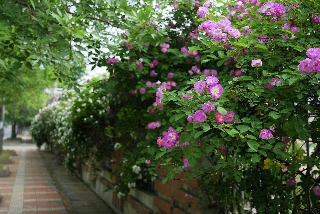 2262703a8b6a4cefa543e31908cd2a32.jpg