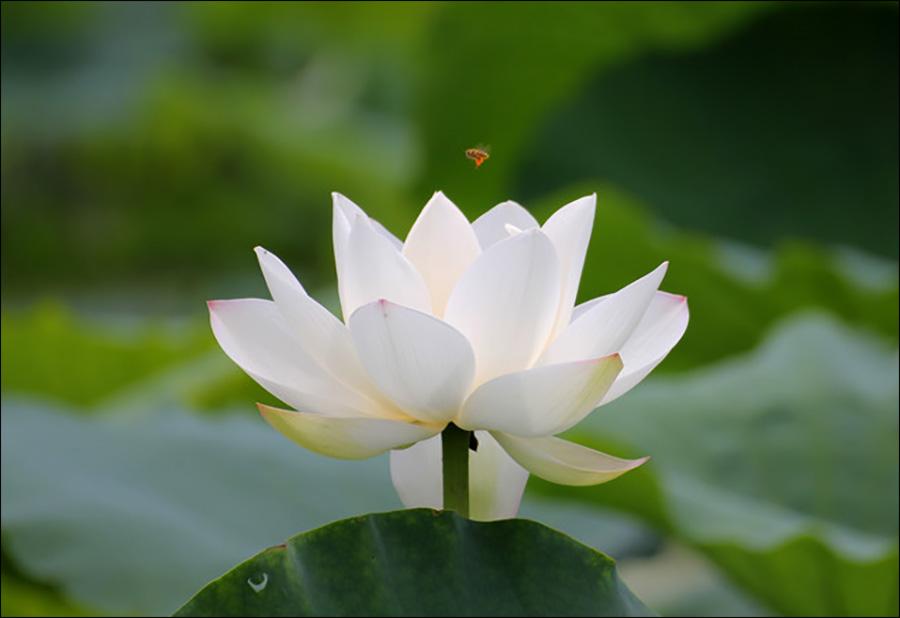 c54441ef910447dda7746a370b94f23e.jpg c54441ef910447dda7746a370b94f23e.jpg