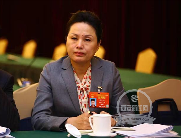 人大代表崔荣华:建议取消机动车驾驶证,驾驶资格绑定身份证
