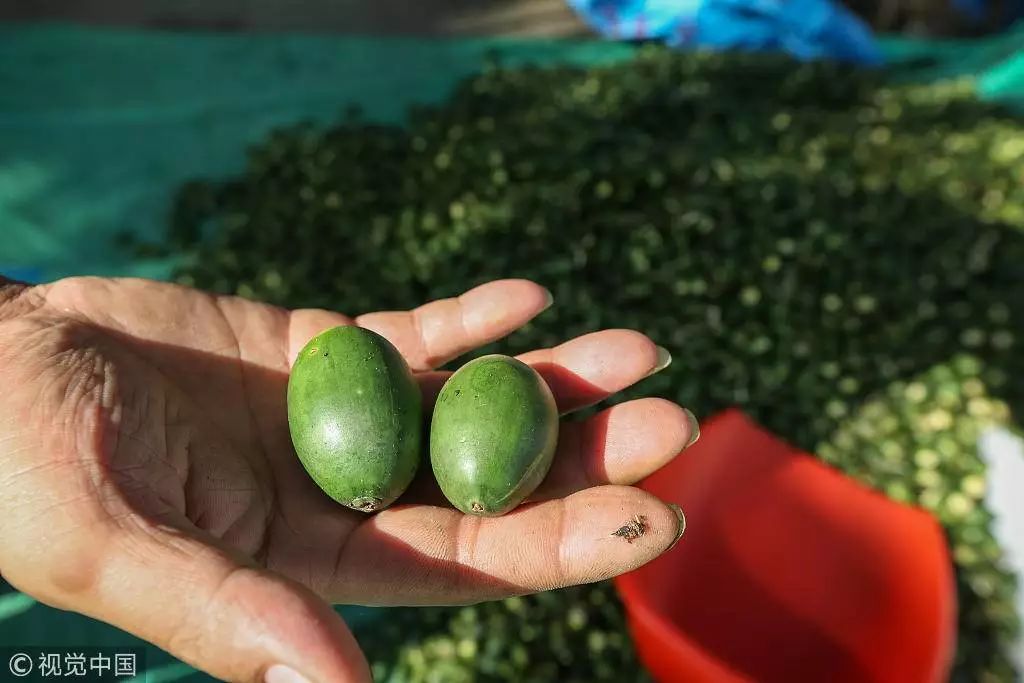 湖南叫停槟榔广告背后:冠名地方春晚 成当地纳