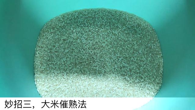 猕猴桃上插一根牙签太厉害了,吃了几十年才发现,学会受用一生