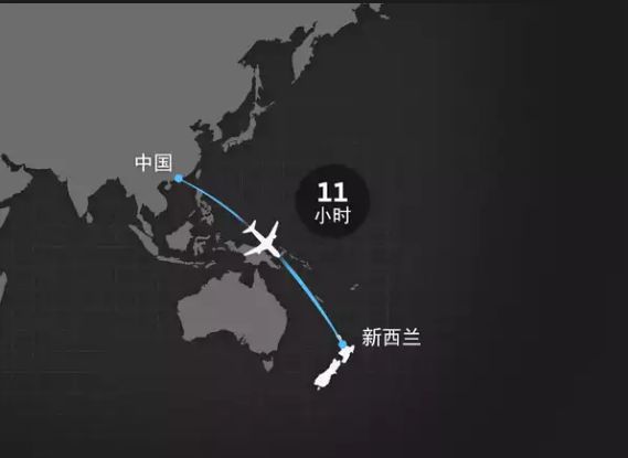“21岁的她去非洲看长颈鹿”,遇难8名中国人多为80后 :中国紧急叫停,全球多个国家还在飞