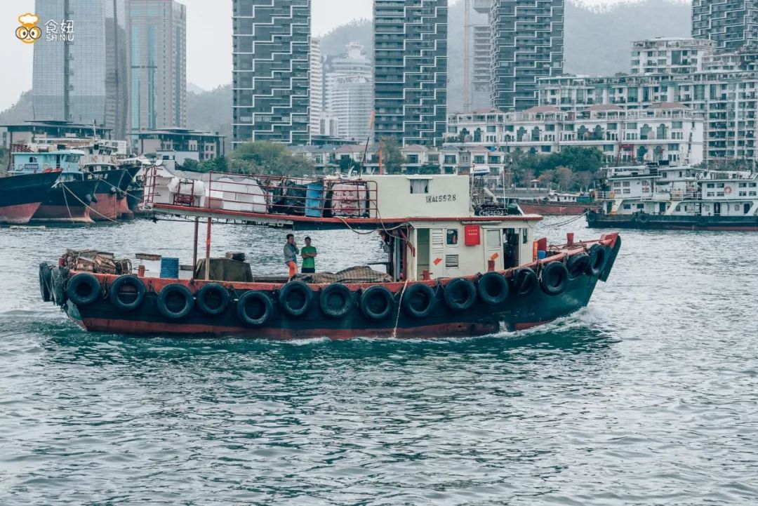 陪伴深圳百年渔人码头,和它告别的时间不多了