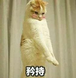 全智贤大儿子照片首度曝光，怎么偏偏这个部位长得像她？