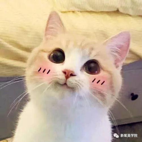 陈妍希动了这个地方，甜美感立刻变成小笼包