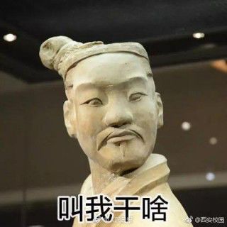 网红表情包第二波丨凤凰吉象日常系列表情上线啦