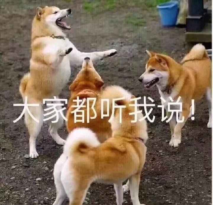 《武林外传》里的最美遗珠，如今整得六亲不认，双眼皮比卧蚕还大了…