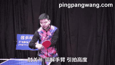 反手拨球像挖掘机铲土,肘关节并非完全固定,要这样去支承最合理