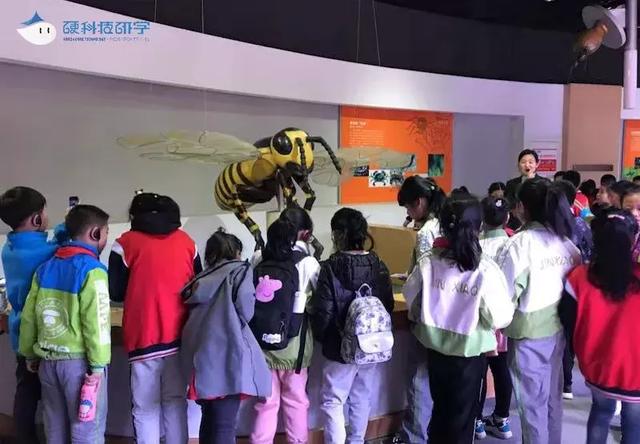 观自然博物,游9号宇宙,金陵小学自然科学探索之旅