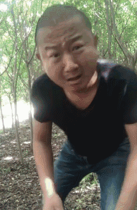 当越来越多人都看起土味视频，它还是人人唾弃的低俗文化吗？