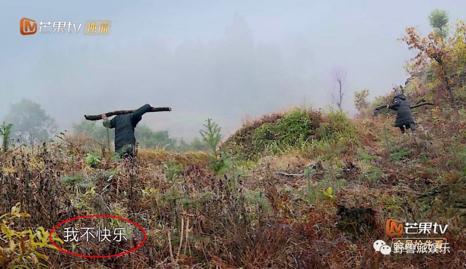 一个话痨，一个段子手，我发现了两个妙人儿…