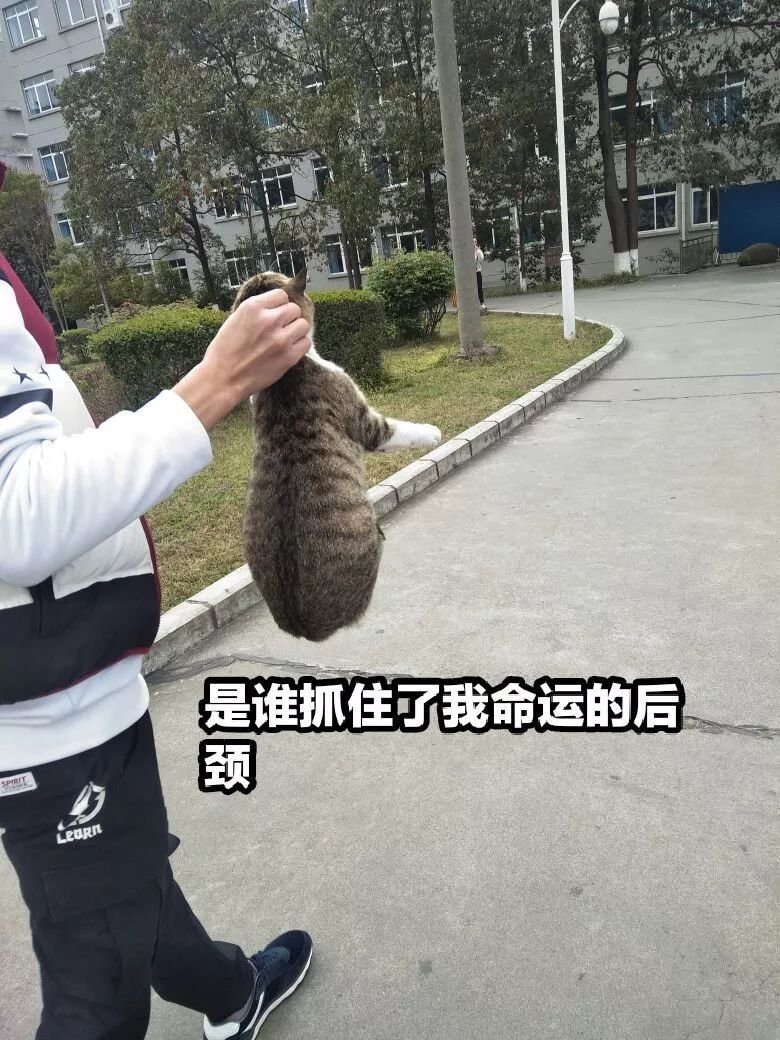 警惕！忽视死臀综合征就只能像娜扎、奚梦瑶一样，屁股塌一辈子！