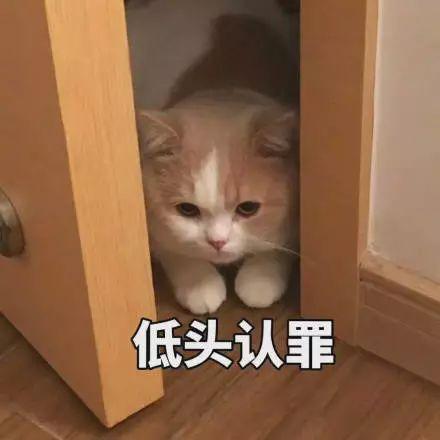 被向太拖进豪门的郭碧婷因800万钻戒被酸了？向佐这个回复甜炸惹！