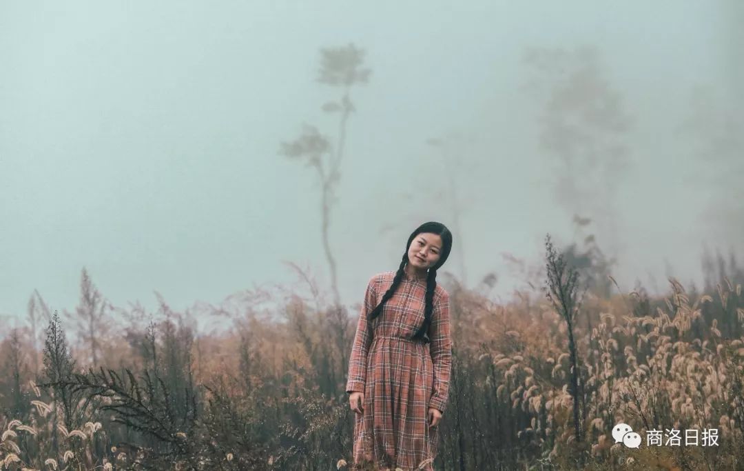 【影像商洛】那些被镜头定格的美好