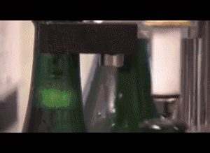 如何读懂香槟酒标