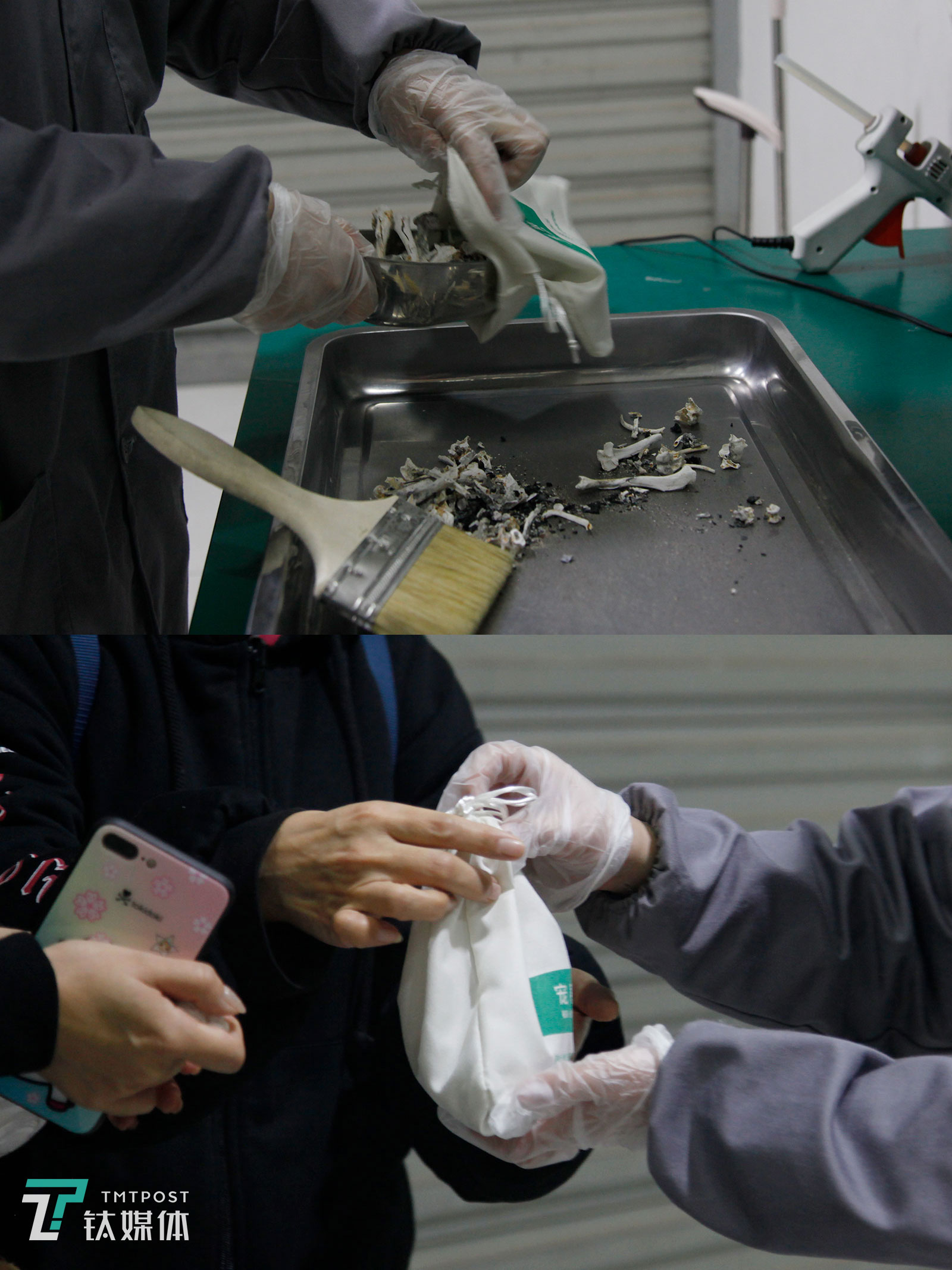 宠物殡葬：3年火化6000只宠物，4亩墓地可安葬250只丨钛媒体影像《在线》