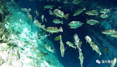 菲律宾最美奇景——The Hinatuan Enchanted River魔幻之河