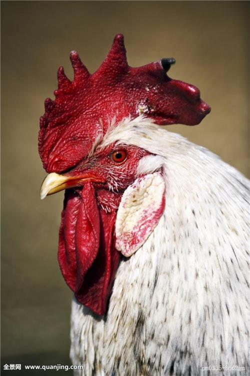 d8ce7d949bf747569331f3577886efcc.jpg d8ce7d949bf747569331f3577886efcc.jpg