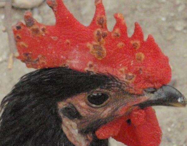 b790207518ab4d258e9c4647adcb5689.jpg b790207518ab4d258e9c4647adcb5689.jpg