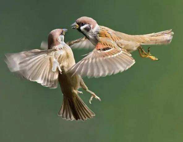 119ffe3945cd4c53a6d89c2edb86e776.jpg 119ffe3945cd4c53a6d89c2edb86e776.jpg