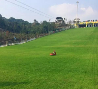 重庆1小时车程周末出行亲子游推荐南海地球村